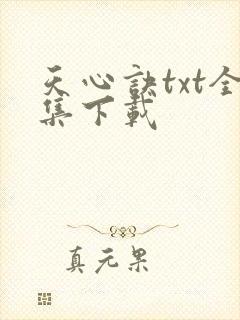 天心诀txt全集下载