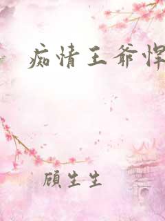 痴情王爷悍王妃