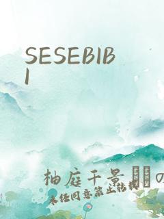 SESEBIBI