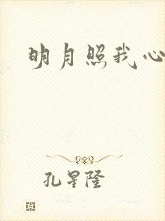 明月照我心小说
