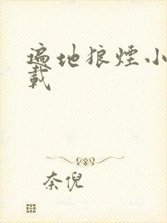 遍地狼烟小说下载