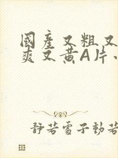 国产又粗又猛又爽又黄A片小说