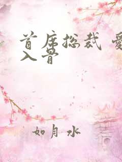 首席总裁 爱你入骨