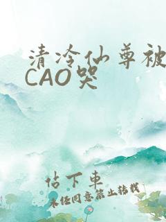 清冷仙尊被强制CAO哭