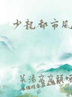 少龙都市风流行