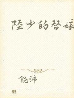 陆少的替嫁宠妻