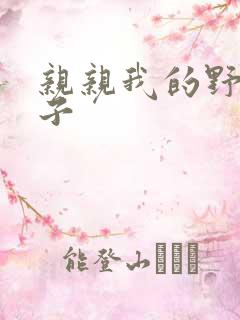 亲亲我的野猪王子