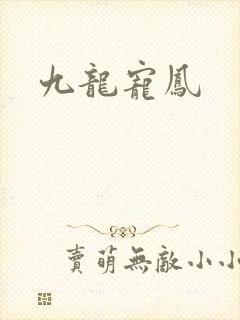 九龙宠凤