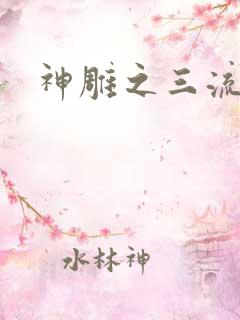 神雕之三流