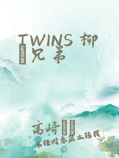 TWINS 柳澤兄弟