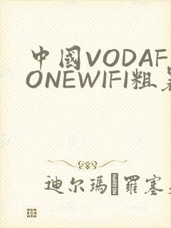 中国VODAFONEWIFI粗暴APP