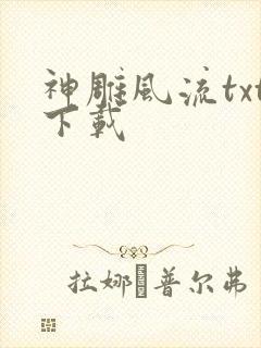 神雕风流txt下载