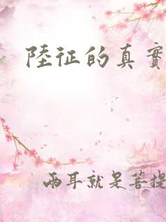 陆征的真实身份