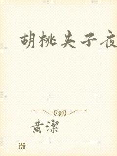 胡桃夹子夜未眠