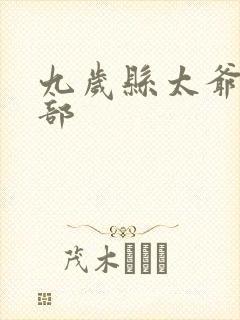 九岁县太爷第二部