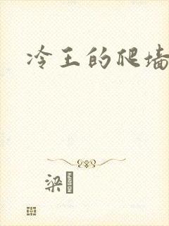 冷王的爬墙丑妃