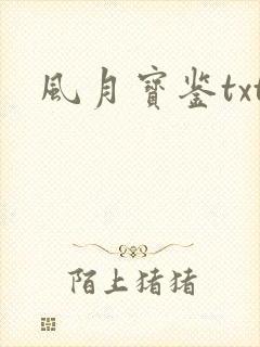 风月宝鉴txt