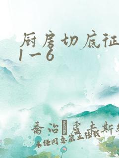 厨房切底征服岳1一6
