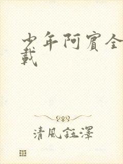 少年阿宾全集下载