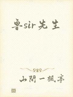 鲁sir先生