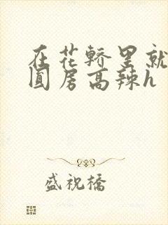 在花轿里就开始圆房高辣h