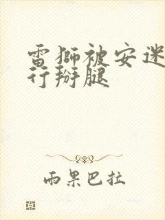 雷狮被安迷修强行掰腿