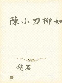 陈小刀柳如意