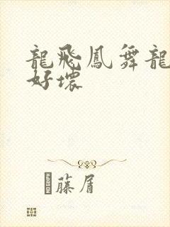 龙飞凤舞龙王你好坏