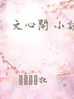 文心阁 小说