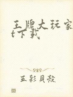 王牌大玩家txt下载