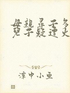 母亲寻子多年 儿子疑遭火车撞击身亡