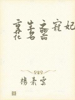 重生之宠妃白莲花名器