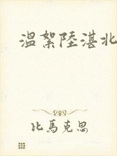 温絮陆湛北