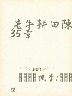 老牛耕田陈雪435章