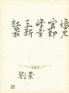 杜玉峰官场小说最新章节免费阅读