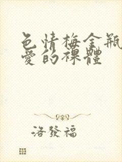 色情梅金瓶2之爱的裸体