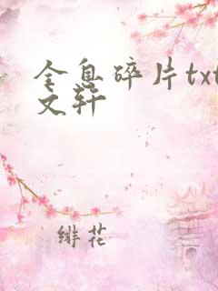 全息碎片txt文轩