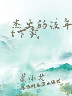 杰出的流年txt下载