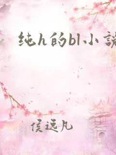纯h的bl小说
