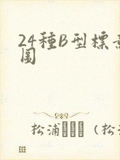24种B型标意图