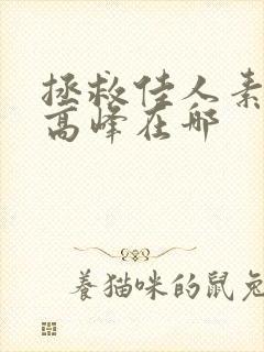 拯救佳人素柔 高峰在哪