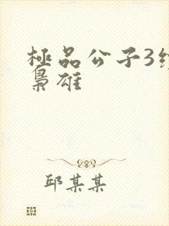 极品公子3续世枭雄