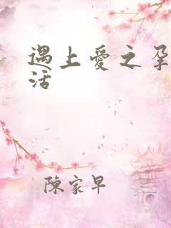 遇上爱之孕夫生活