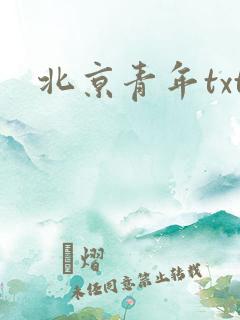 北京青年txt