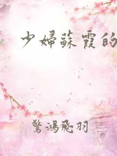 少妇苏霞的沉沦