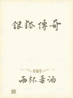 银狐传奇