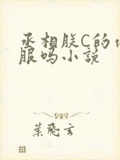 丞相朕C的你舒服吗小说