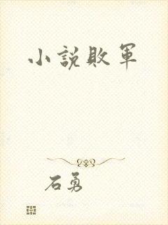 小说败军