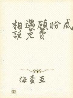 相遇顾盼成欢小说免费