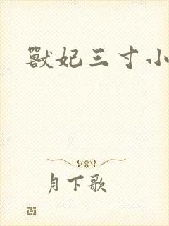 兽妃三寸小狂妻